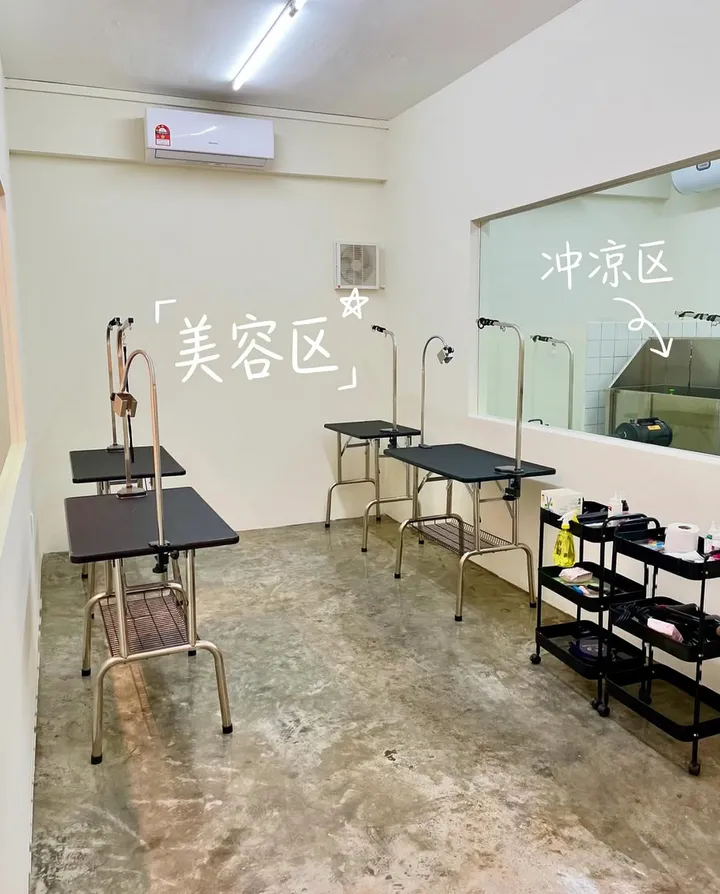 Our grooming area: four grooming tables, with the bath area behind the glass window
