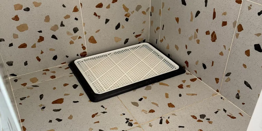 Big room: a private room with terrazzo walls and a pee tray
