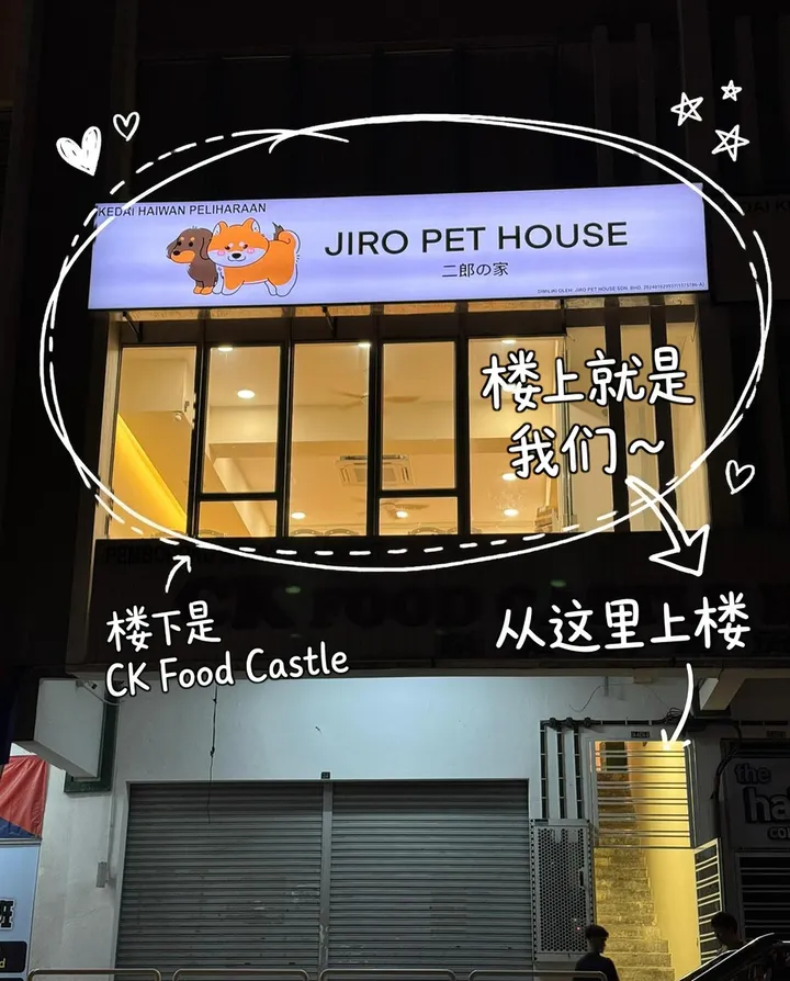 Jiro Pet House at night: we are on the lit-up first floor above CK Food Castle; the stairs are at the bottom right