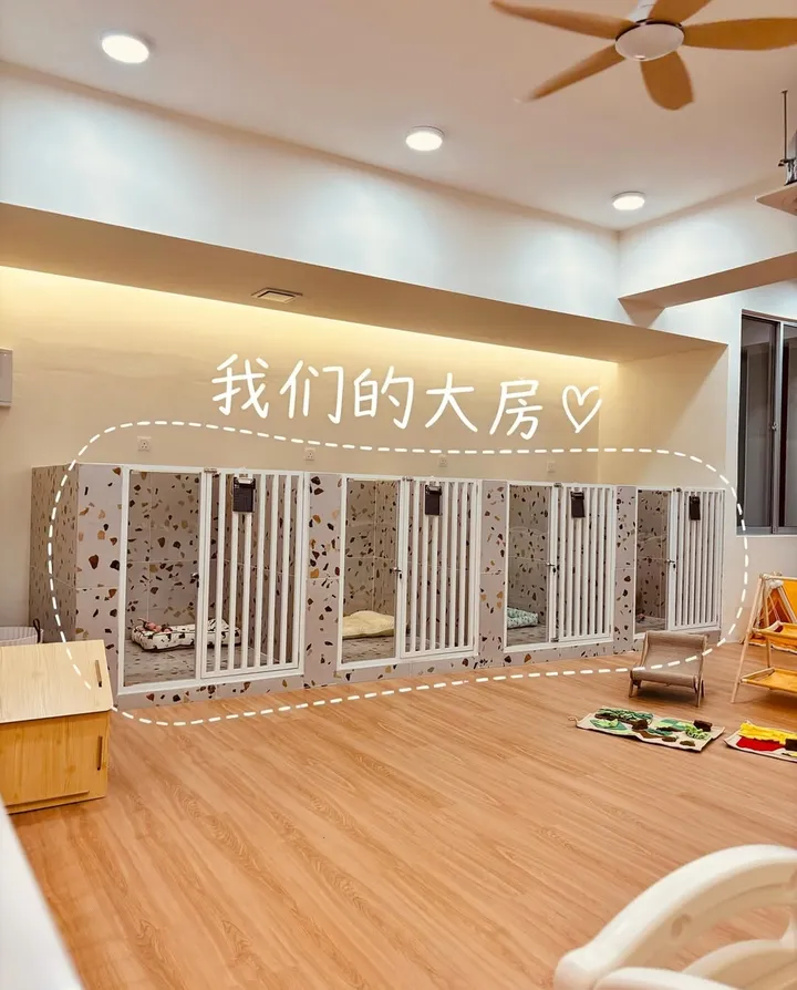 Our dog boarding area: a row of small rooms with white gates